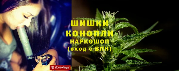амф Осинники