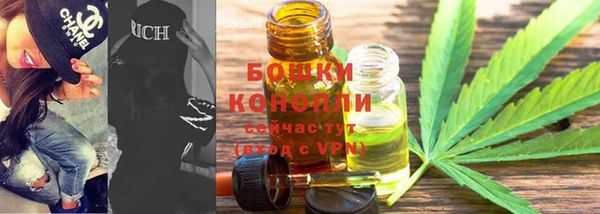 амф Осинники